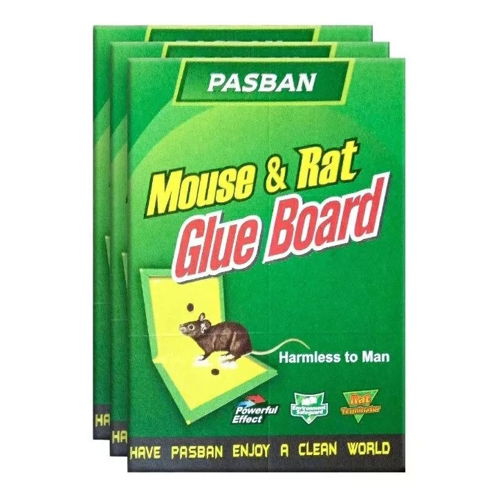 MOUSE AND RAT GLUE BOARD