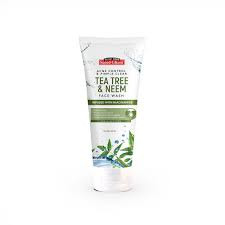 SAEED GHANI F/WASH 100ML TEA TREE&NEEM